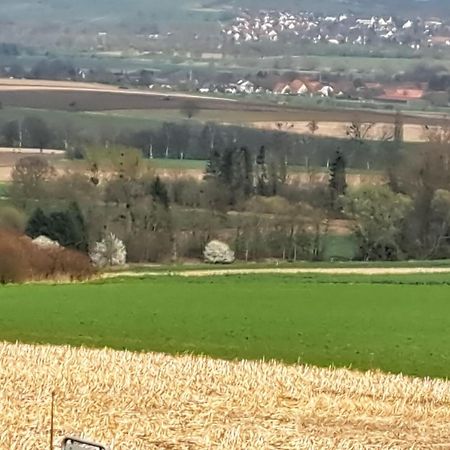 Zur Schoenen Aussicht Hamelin Exterior foto