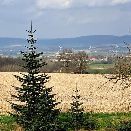 Zur Schoenen Aussicht Hamelin Exterior foto